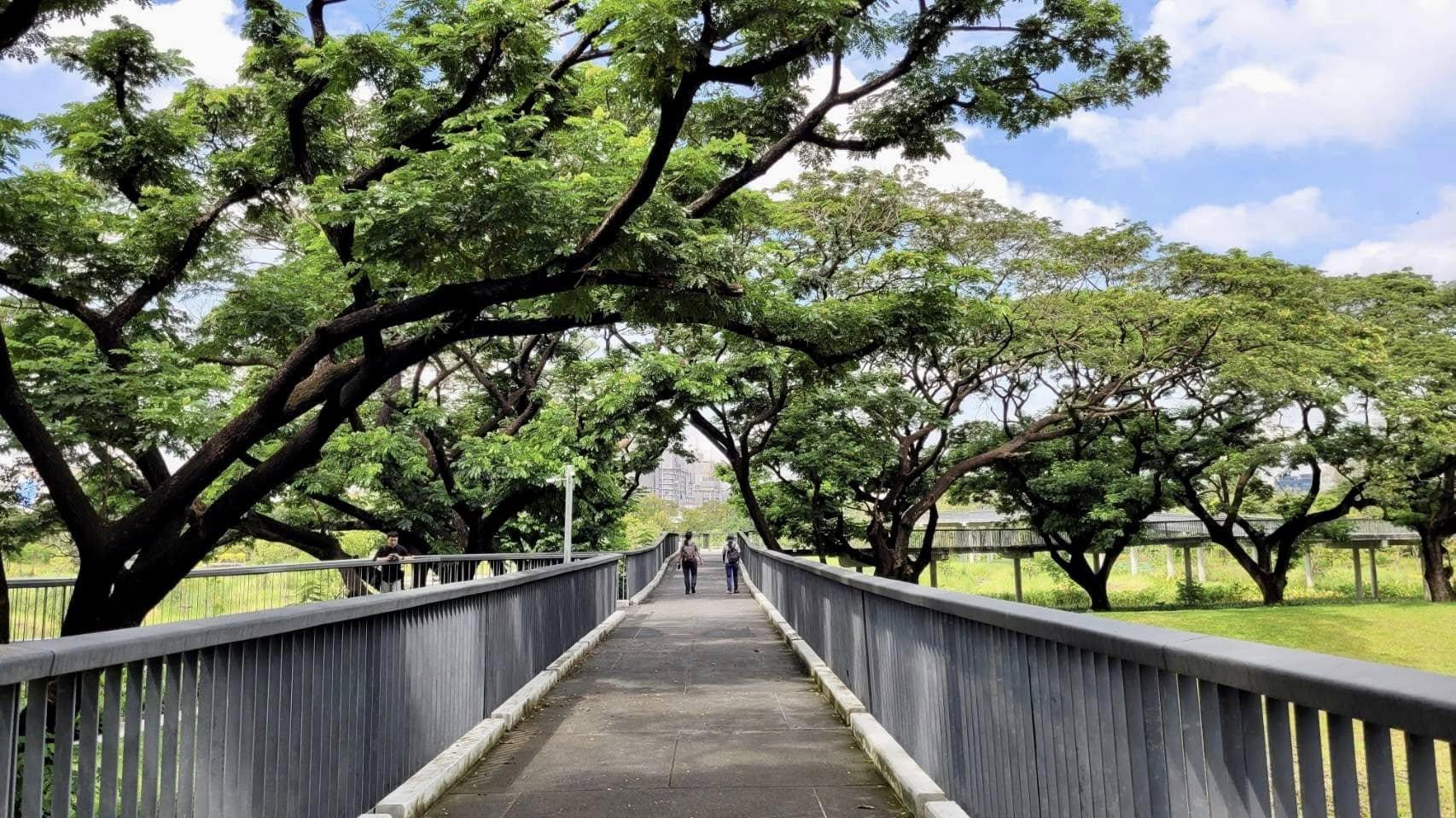 ภูมิทัศน์เมือง