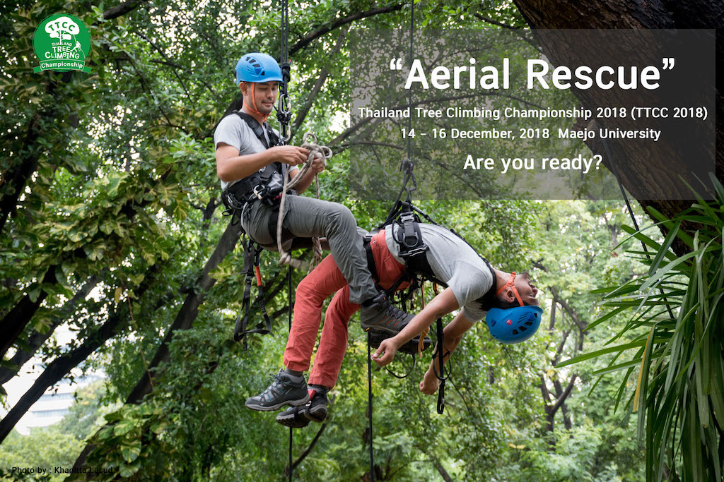 Aerial Rescue